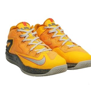 Nike Lebron 11 Floridian